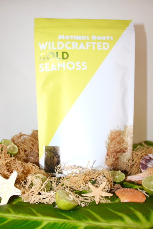 Gold Sea Moss | St. Lucia 100% Wildcrafted